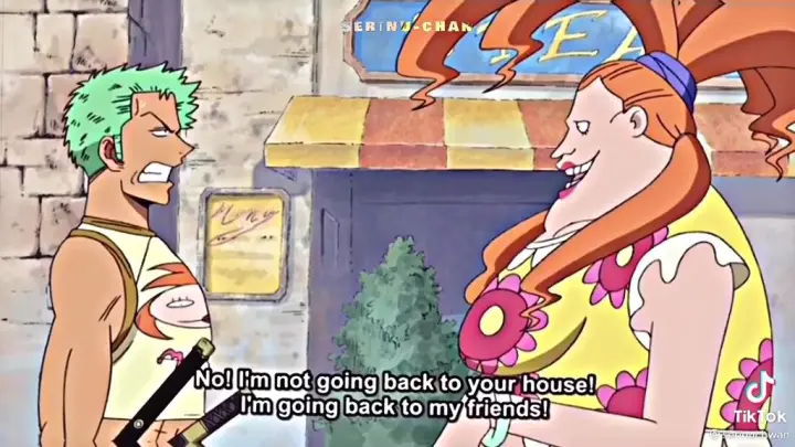 when zoro admits his hair is a marimo