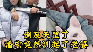 Pan Hongxun's Wife's Day