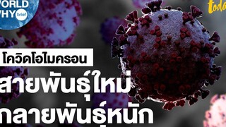 ‘โควิดโอไมครอน’ กลายพันธุ์ถี่สุด WHO กังวลเทียบชั้น ‘เดลตา’ WORLD WHY Brief workpointTODAY