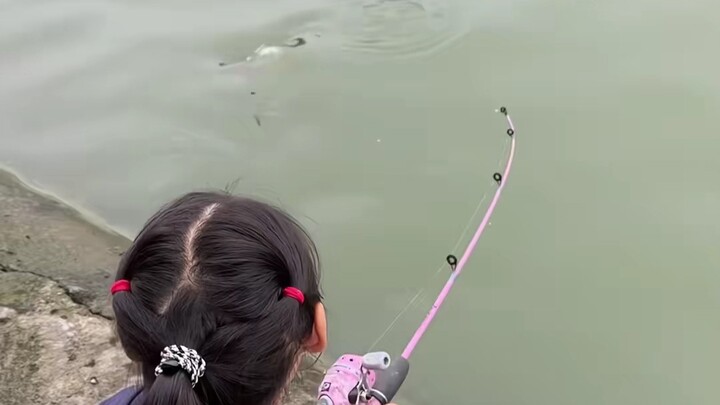 Uncle’s defenses are totally broken (remastered edition) #BecomingAFemaleAngler #FishingWithDad #Bai