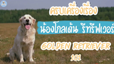 โกลเด้น รีทรีฟเวอร์ Golden Retriever 101 SudPad-Dog