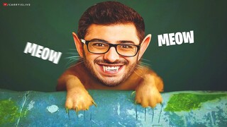 CARRYMINATI PLAYS THE CAT GAME