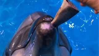 Melati menampilkan bakatnya