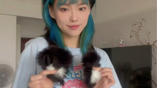 你们喜欢的小猫咪