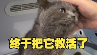 Not all efforts go unrewarded.