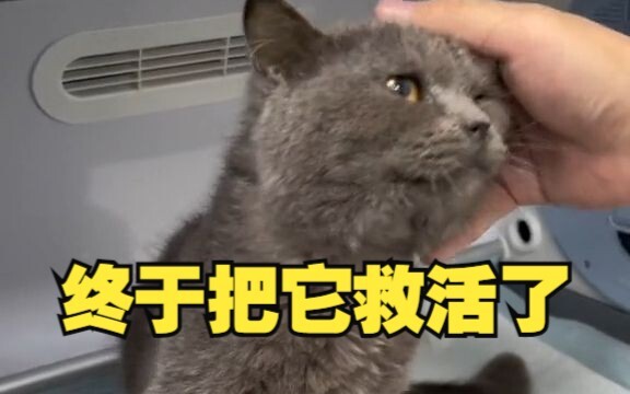 并不是所有努力都没有回报