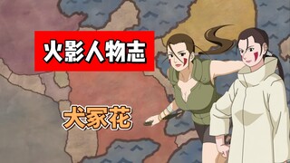 【火影志 · 木叶书 · 犬冢花传】“赌上犬冢家的嗅觉～”