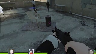 Left 4 Dead 2 Tailred plugin (Tailred) installation