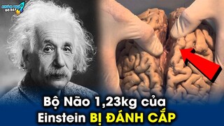 ✈️ 10 Bí Ẩn Đáng Sợ Về Nhà Khoa Học Thiên Tài Albert Einstein Có Thể Bạn Chưa Biết | Khám Phá Đó Đây