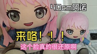 40cm便宜阿诺来咯！
