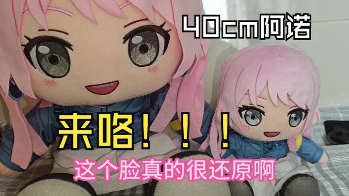 40cm便宜阿诺来咯！