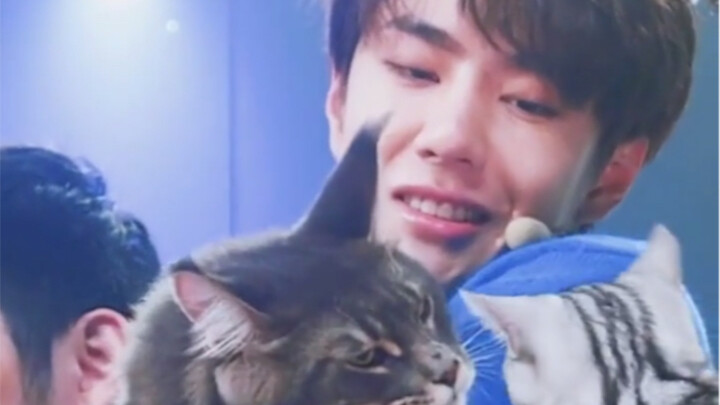 【Wang Yibo】His gaze at the kitty is utterly enchanting; his son’s blind date fails, and the doting d