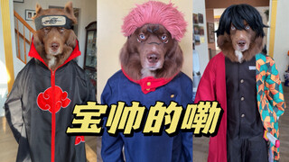 “把我的狗狗打扮成动漫角色”🐶🐶🐶好帅的哈士奇～