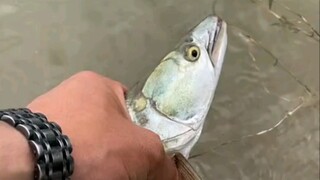 Pemilik waduk tidak mengizinkan saya memancing, jadi saya akan memberinya ikan sebagai imbalan atas 