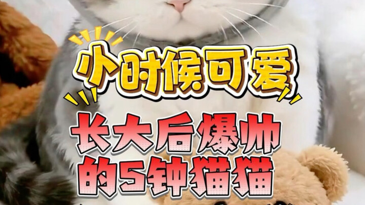 As a kid, it was so ugly I wanted to return it; now it’s so handsome I just want to cuddle it! Never