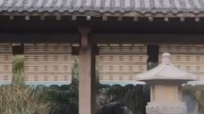 พากย์ไทย ตอน ยี่สิบห้า ถึง สามสิบ