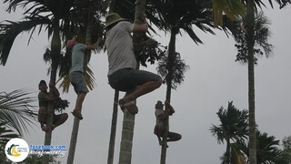 Leo CAU Cuộc Sống Mưu Sinh Người Dân Miền Tây | Hội Ngộ Miền Tây - Tập 219