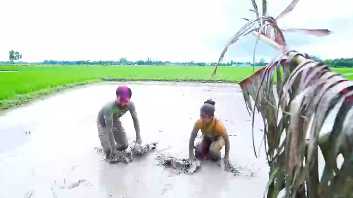 ห้ามขำใครทำได้ EP.38 รวมคลิปฝรั่งตลกๆ ปี 2022 - Funny คลิปตลก