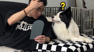 Common traits of dog owners