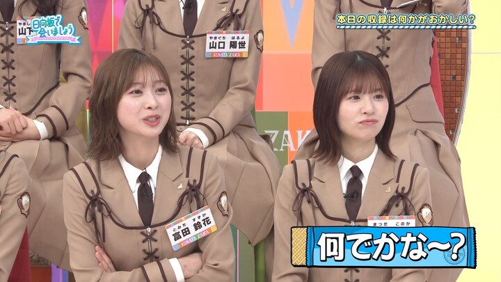 250511 Hinatazaka de Aimashou #312 Sub Indonesia