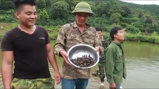 DẾ MÈN ĐEN RANG NƯỚC MĂNG CHUA