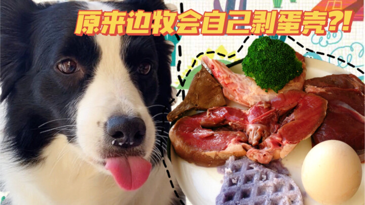 ليش ما بساعد سوغا يقشر البيضة؟ لأنه بيعرف يقشرها لوحده!