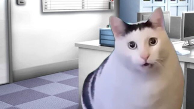 【Cat meme】Daily life at a gaming company (work part)