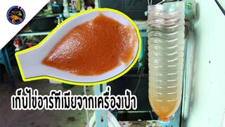 เก็บอาร์ทีเมียจากเครื่องเป่าเอาไปให้ลูกปลากัดกินสไตล์korattv