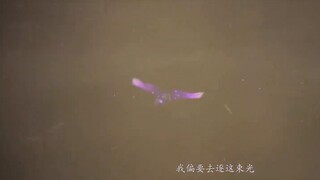 Fights Break Sphere 5 ศึกรบทะลุสวรรค์ ภาค 5 EP 2 [ซับไทย]