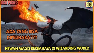 HATI-HATI DIMAKAN SAMA HEWAN-HEWAN INI !!! INI DIA HEWAN MAGIS PALING BERBAHAYA DI WIZARDING WORLD