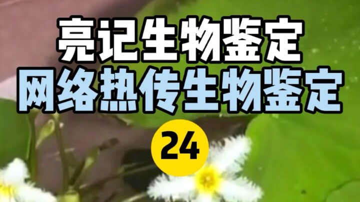 【Xét nghiệm sinh học Liangji】Xét nghiệm sinh học trực tuyến Hot 24