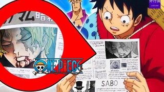 One Piece Feature #766: Why Luffy can't meet Marco too soon