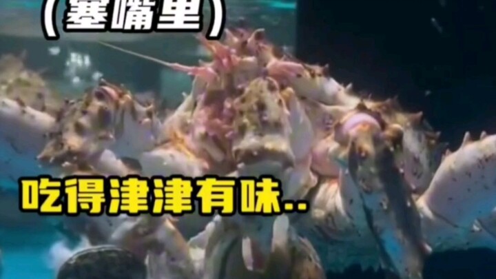 Crab: What’s wrong with me treating myself to a nice meal before I leave?