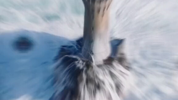 ครั้งหนึ่งเขาเคยจ่ายเงินเดือน 100 หยวนเพื่อรับสมัครผู้เชี่ยวชาญเรื่องประภาคาร แต่ไม่มีใครจริงจังกับเ