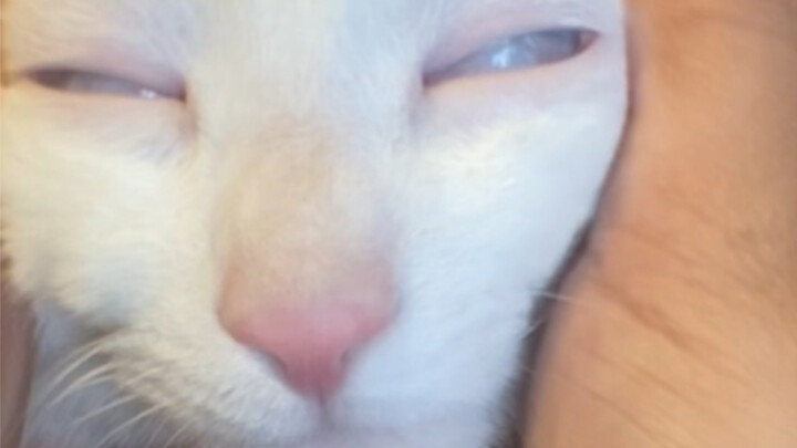 There's a kind of carefree comfort that knows no bounds.