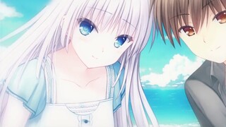 [Stationary/summer pockets] Reincarnation