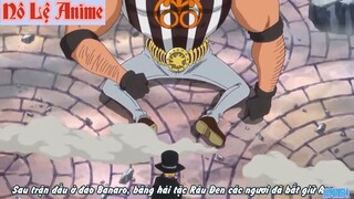 Sabo Nện Burgess Cái Giá Khi Động Đến Anh Em Nhà Lù #anime #schooltime
