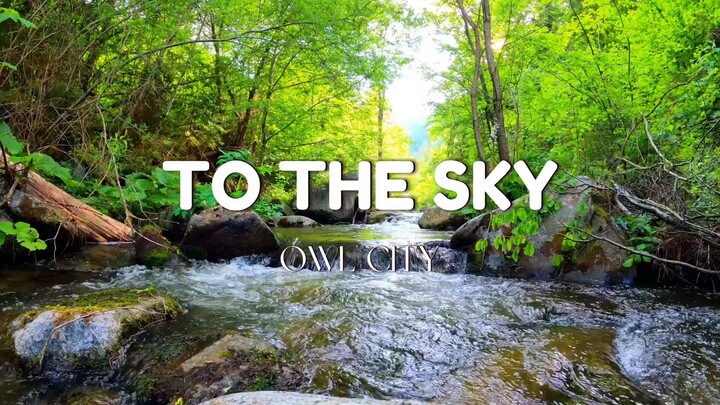 To The Sky - Owl City (Lyrics)