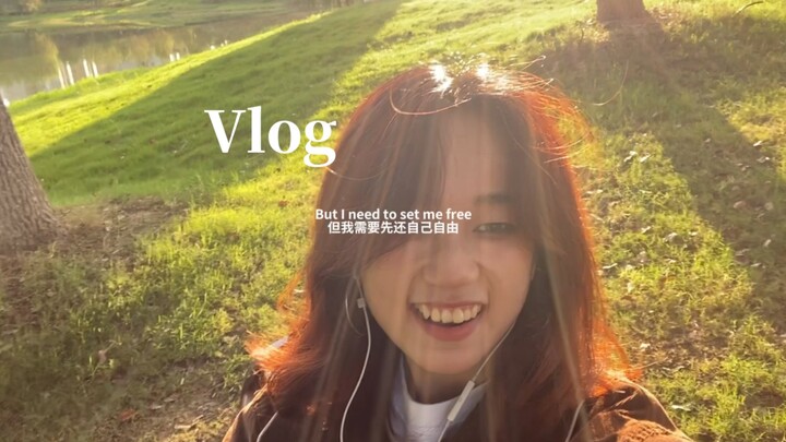 Nạp năng lượng cho người hướng nội: “Khi lo lắng, hãy đi ôm cây nhé” *Vlog