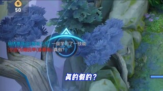 【ยาสีฟัน King of Glory】ฉันเพิ่มขึ้นแค่ 8 แคทตี้ แต่ฉันคิดว่ามันไม่เพียงพอ