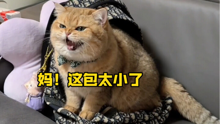 แววตาที่อยากไปต่างประเทศกับคุณแม่ยิ่งแน่วแน่มากขึ้นเรื่อยๆ