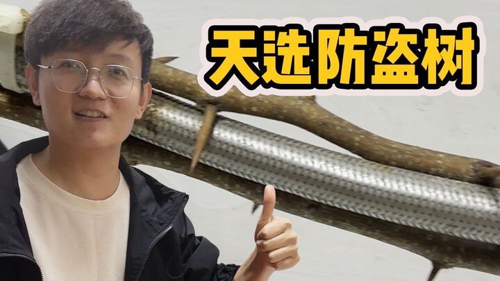 [Petualang Buah Hunter x Hunter] Temukan Kegunaan Ajaib Kayu Zhi di Ruang Pemanas Air, Kehidupan Seh