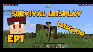 MINECRAFT SURVIVAL LETS PLAY EP#1