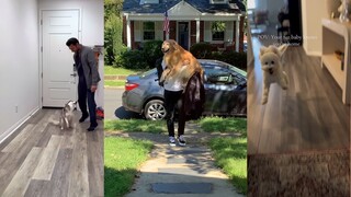 只有养宠物的人，才能体会此刻的心情