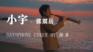 【萨克斯】高音萨克斯（严重舒适）唯美浪漫|张震岳小宇（SAXOPHONE COVER BY海岸）