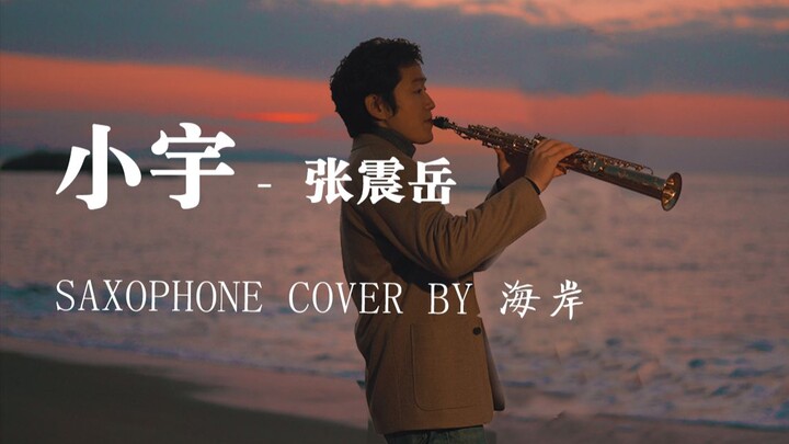 【萨克斯】高音萨克斯（严重舒适）唯美浪漫|张震岳小宇（SAXOPHONE COVER BY海岸）