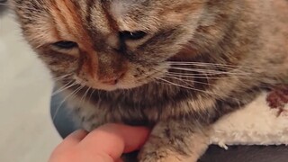 Holding your hand, only let me hold your left hand