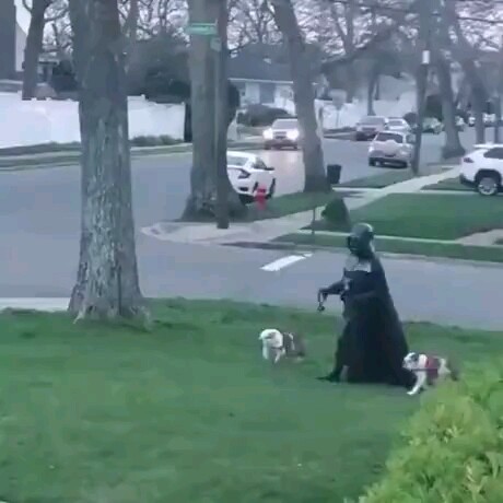 The Fall of the Empire