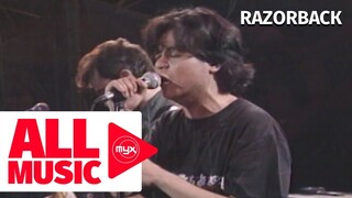 RAZORBACK – Voodoo, Who Do? (MYX Live! Performance)