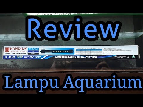 Review Lampu Aquarium Kandila KD-20 LED